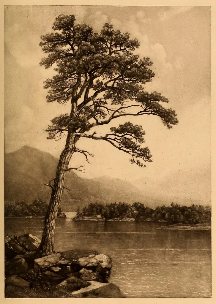 An illustration from The life and times of A.B. Durand, 1894, leaf 293