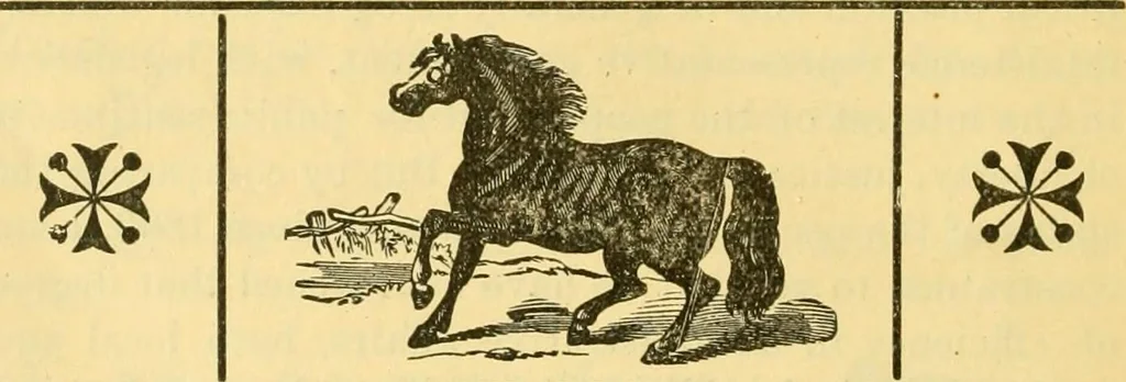 An illustration from Life and times of Conrad Weiser : the first representative man of Berks County, 1893, leaf 77