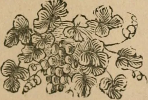 An illustration from The life and times of James Catnach : (late of Seven Dials), ballad monger, 1878, leaf 332