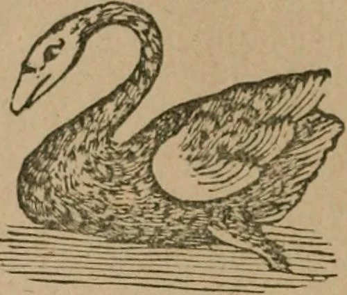 An illustration from The life and times of James Catnach : (late of Seven Dials), ballad monger, 1878, leaf 355
