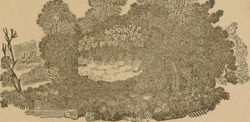 An illustration from The life and times of James Catnach : (late of Seven Dials), ballad monger, 1878, leaf 434