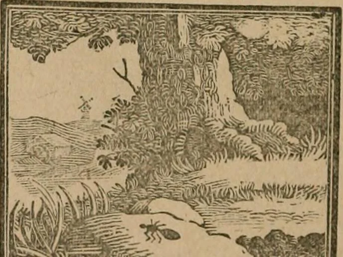 An illustration from The life and times of James Catnach : (late of Seven Dials), ballad monger, 1878, leaf 435