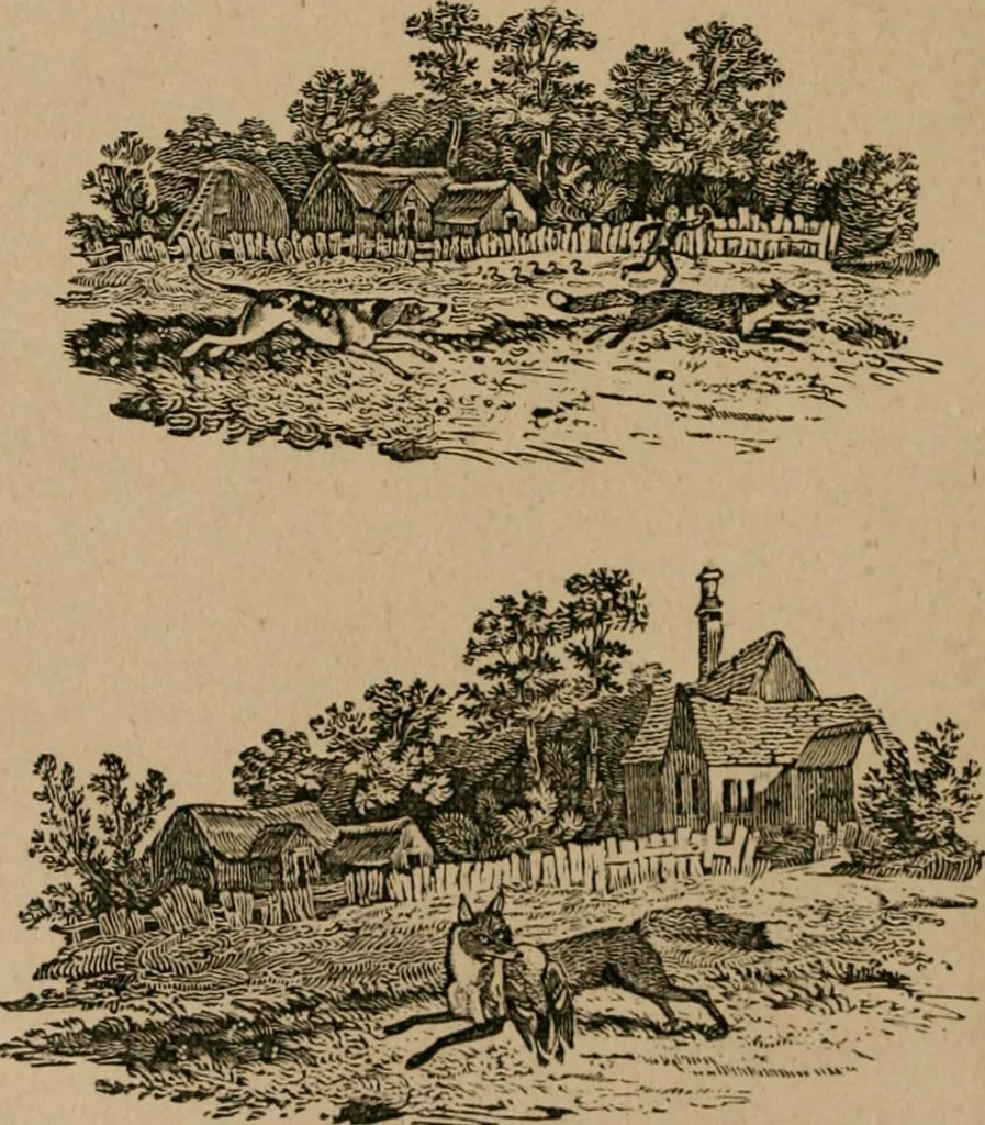 An illustration from The life and times of James Catnach : (late of Seven Dials), ballad monger, 1878, leaf 47