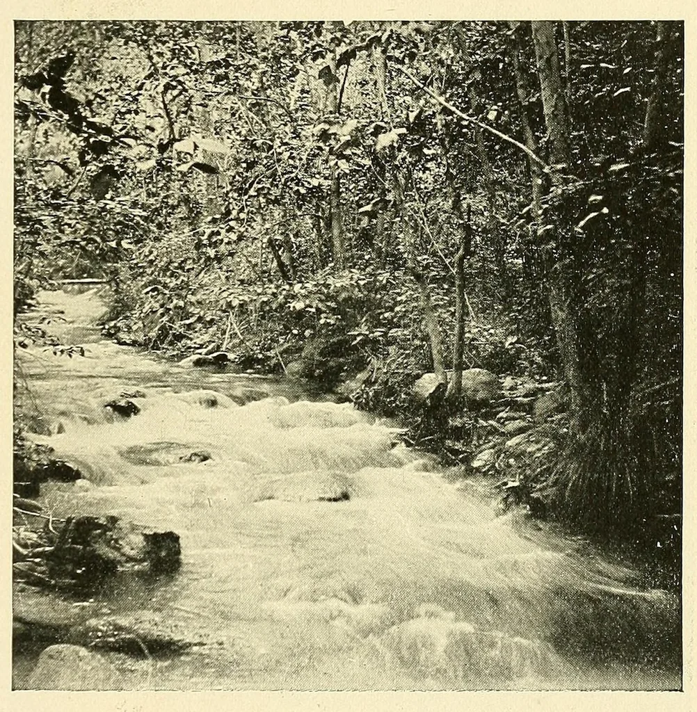 An illustration from The life and works of Paul Laurence Dunbar; containing his complete poetical works, his best short stories, numerous anecdotes and a complete biography of the famous poet, 1907, leaf 317