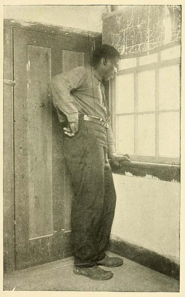 An illustration from The life and works of Paul Laurence Dunbar; containing his complete poetical works, his best short stories, numerous anecdotes and a complete biography of the famous poet, 1907, leaf 331