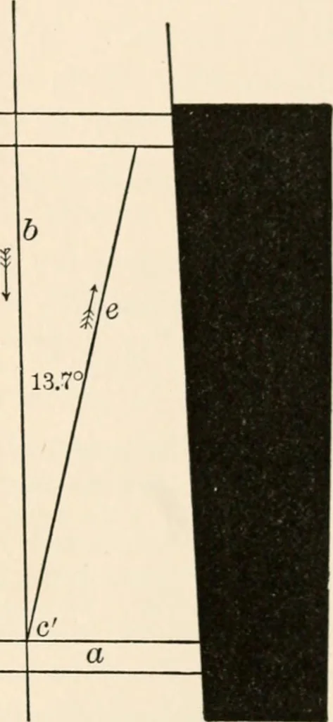 An illustration from Light and the behavior of organisms, 1911, leaf 154