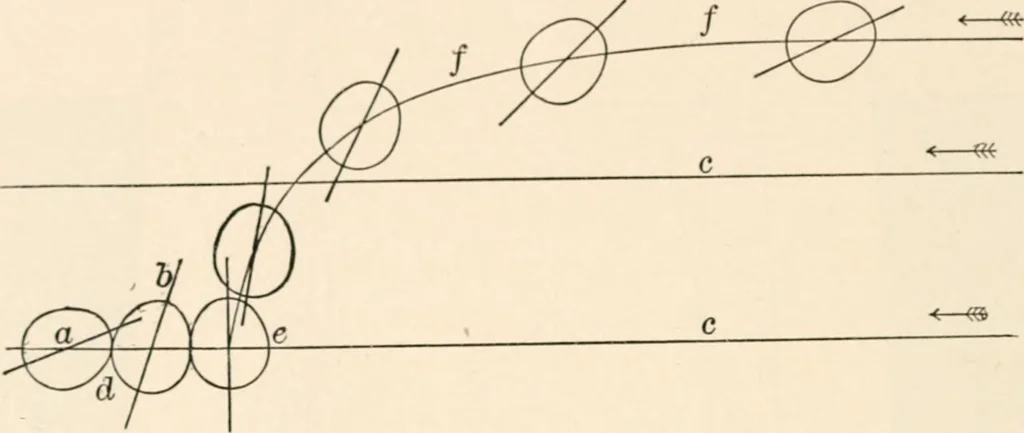 An illustration from Light and the behavior of organisms, 1911, leaf 155