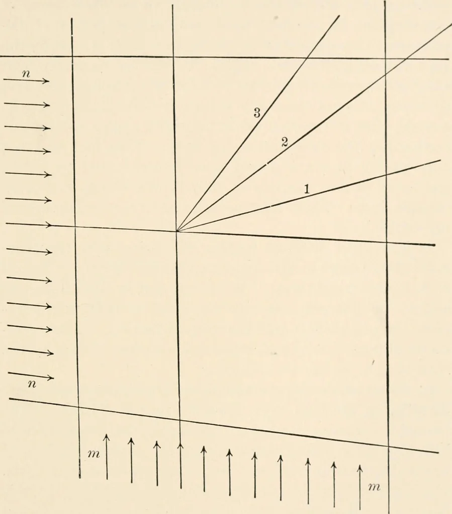 An illustration from Light and the behavior of organisms, 1911, leaf 194