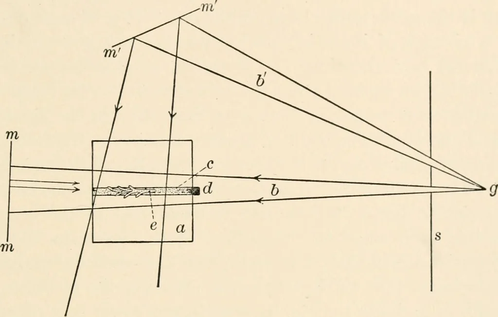 An illustration from Light and the behavior of organisms, 1911, leaf 196