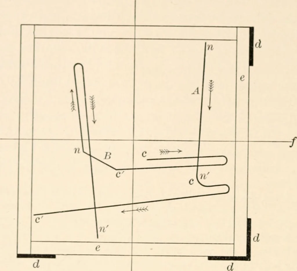 An illustration from Light and the behavior of organisms, 1911, leaf 283