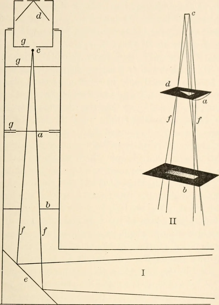 An illustration from Light and the behavior of organisms, 1911, leaf 76