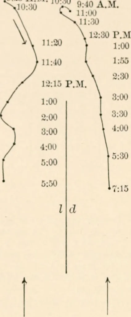 An illustration from Light and the behavior of organisms, 1911, leaf 81