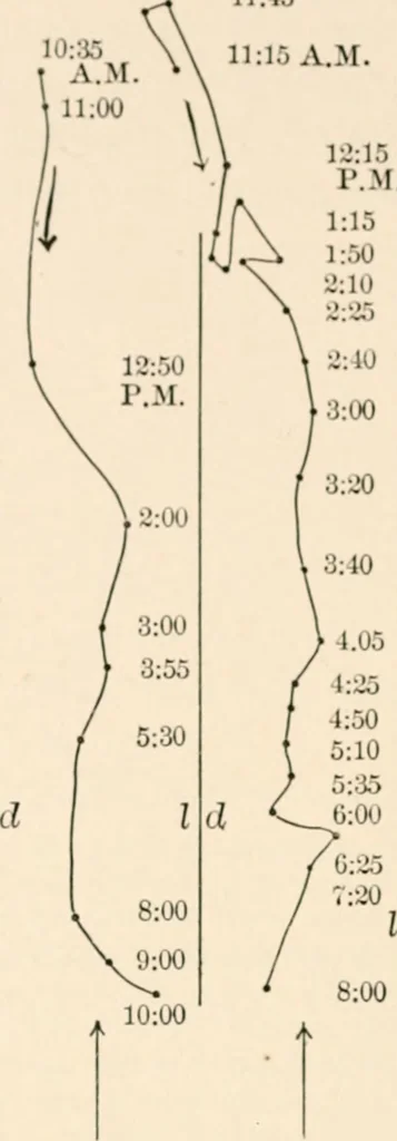 An illustration from Light and the behavior of organisms, 1911, leaf 81