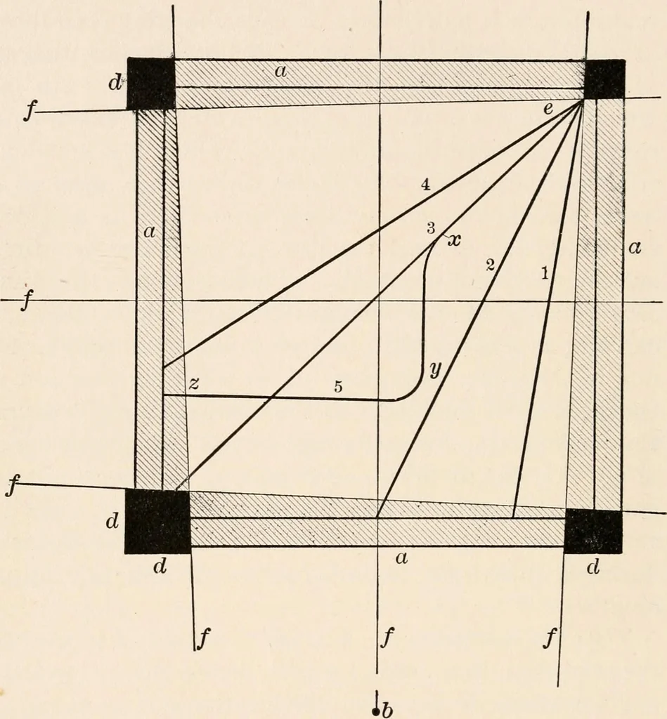 An illustration from Light and the behavior of organisms, 1911, leaf 151
