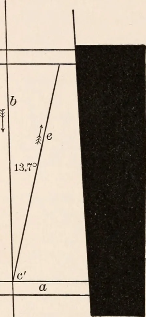 An illustration from Light and the behavior of organisms, 1911, leaf 152