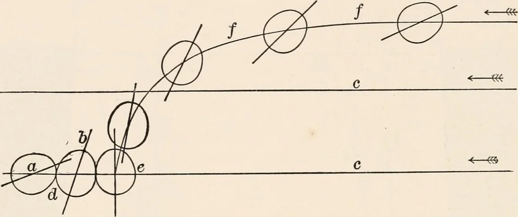 An illustration from Light and the behavior of organisms, 1911, leaf 153