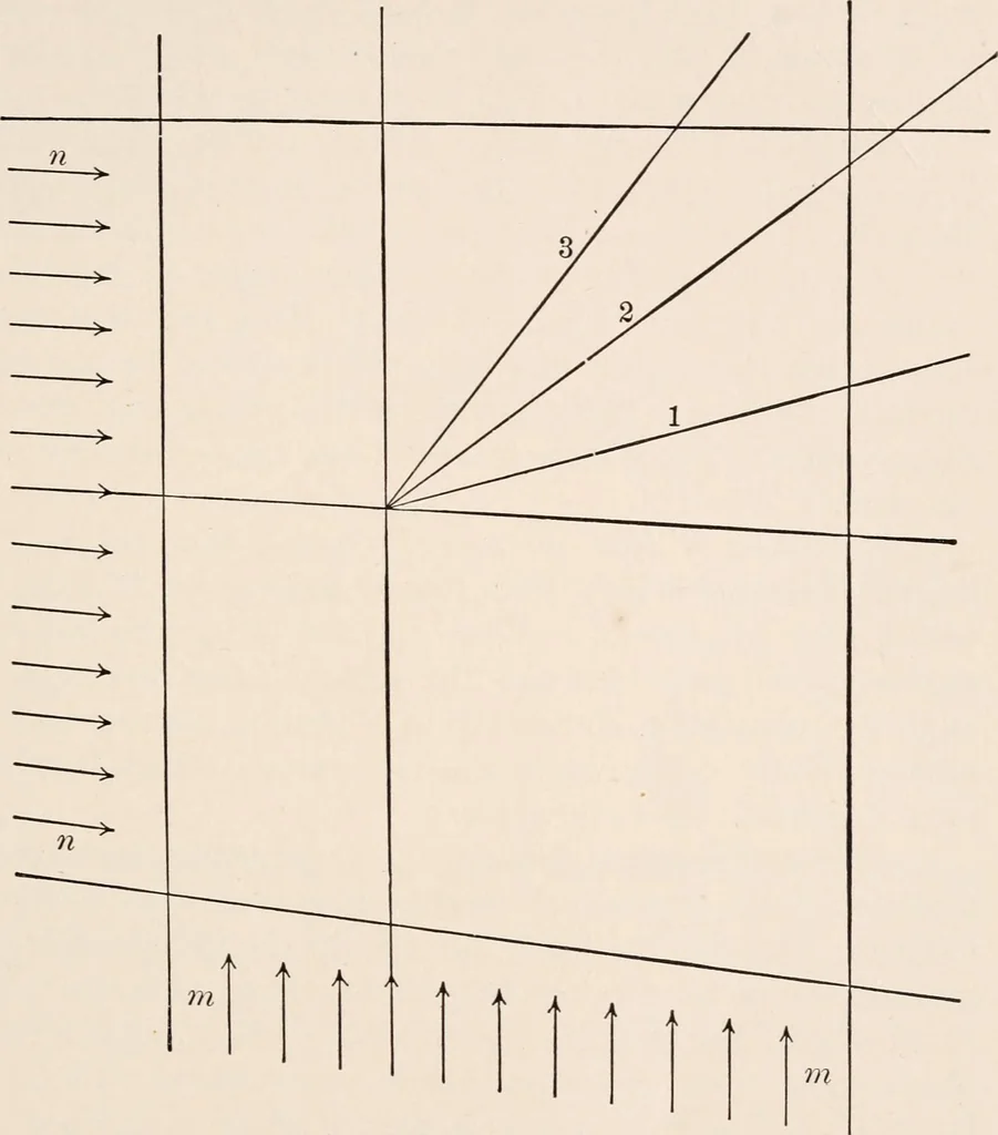An illustration from Light and the behavior of organisms, 1911, leaf 192