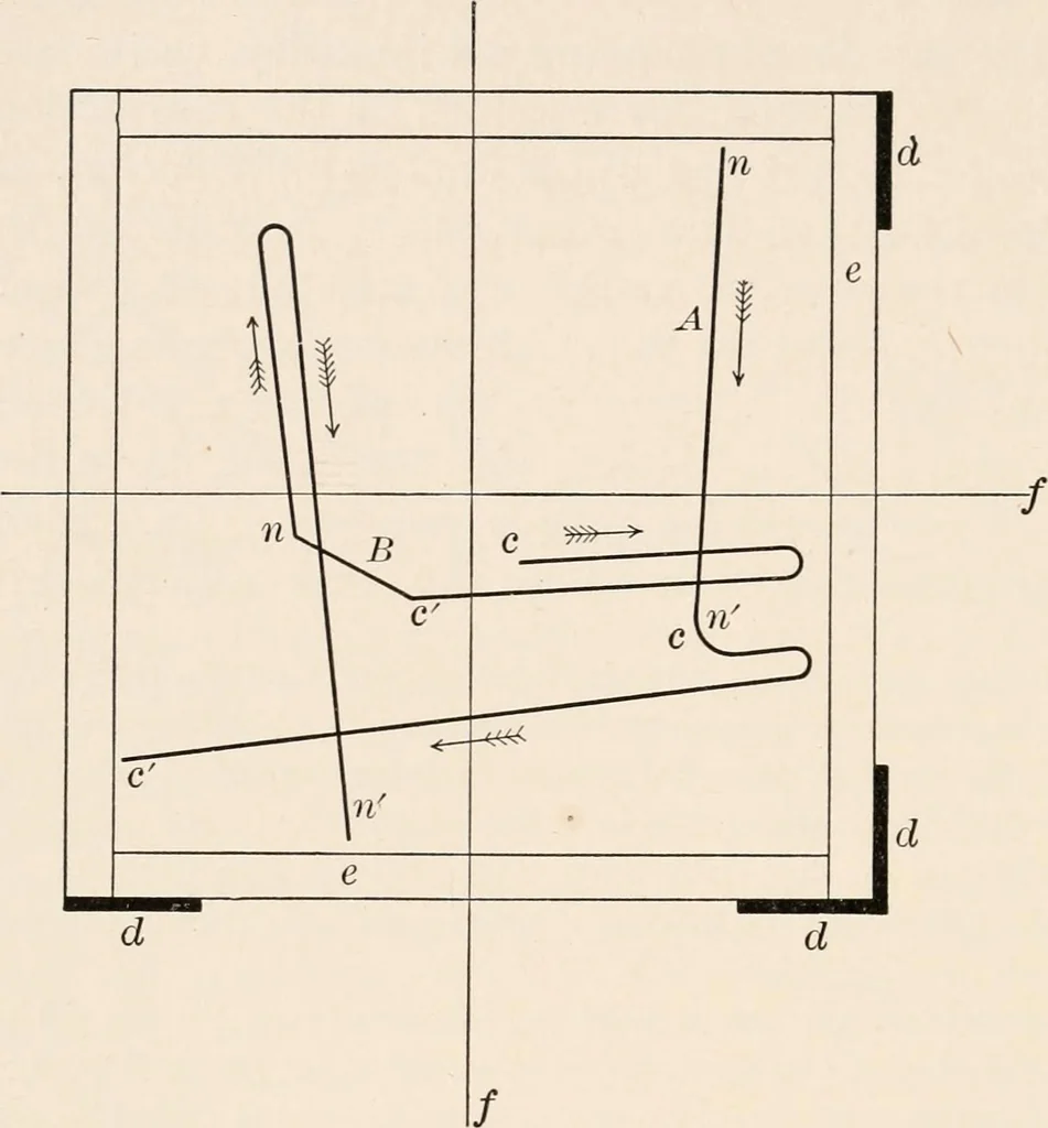 An illustration from Light and the behavior of organisms, 1911, leaf 281