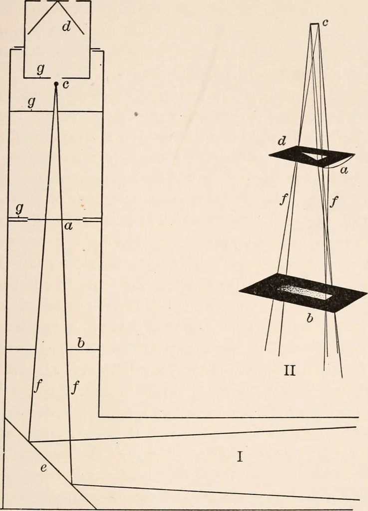 An illustration from Light and the behavior of organisms, 1911, leaf 74