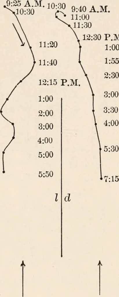 An illustration from Light and the behavior of organisms, 1911, leaf 79