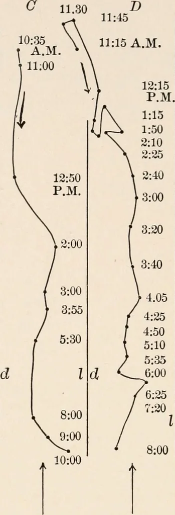 An illustration from Light and the behavior of organisms, 1911, leaf 79