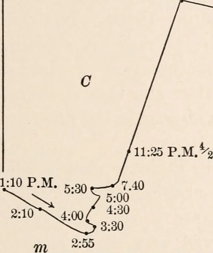 An illustration from Light and the behavior of organisms, 1911, leaf 82