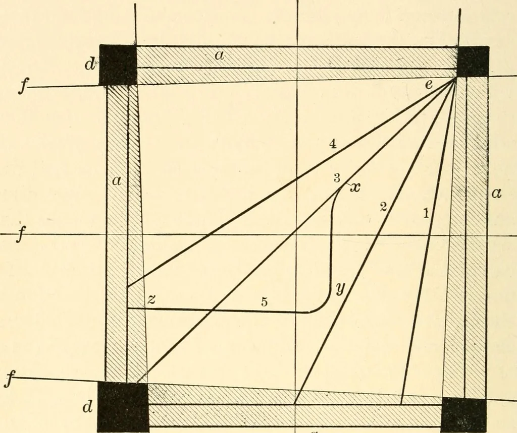 An illustration from Light and the behavior of organisms, 1911, leaf 155