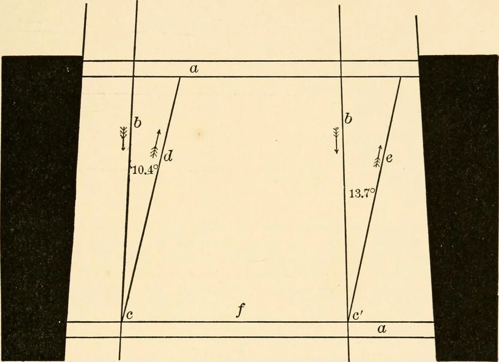 An illustration from Light and the behavior of organisms, 1911, leaf 156