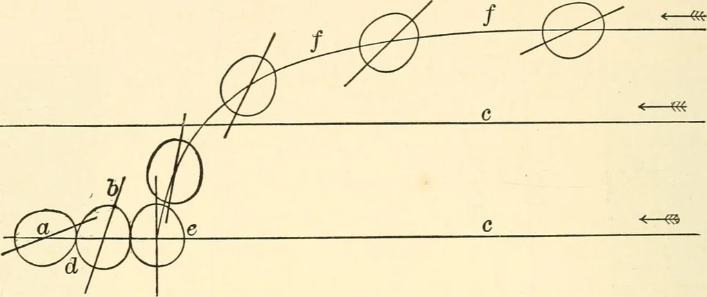 An illustration from Light and the behavior of organisms, 1911, leaf 157