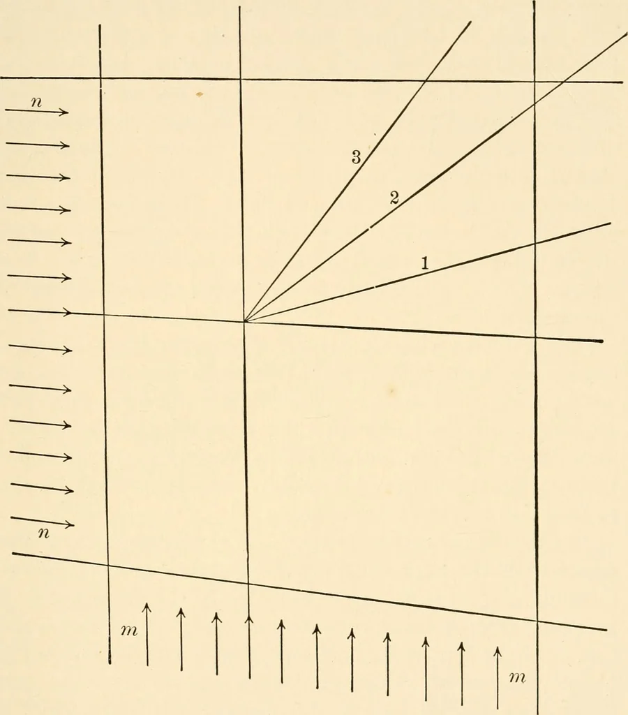 An illustration from Light and the behavior of organisms, 1911, leaf 196