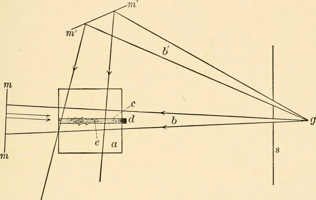 An illustration from Light and the behavior of organisms, 1911, leaf 198