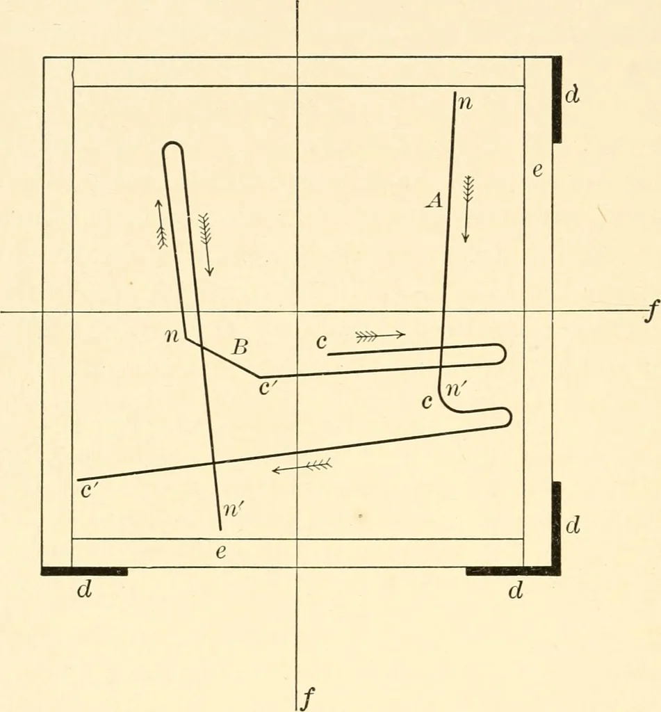 An illustration from Light and the behavior of organisms, 1911, leaf 285