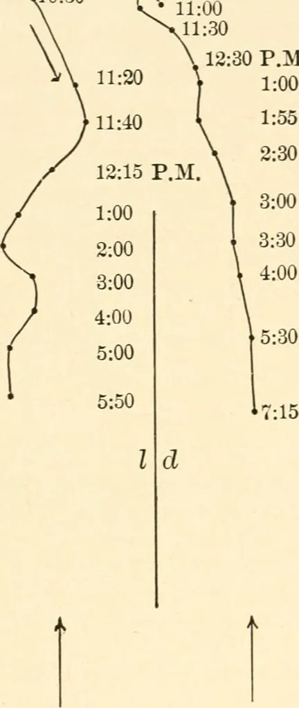 An illustration from Light and the behavior of organisms, 1911, leaf 83