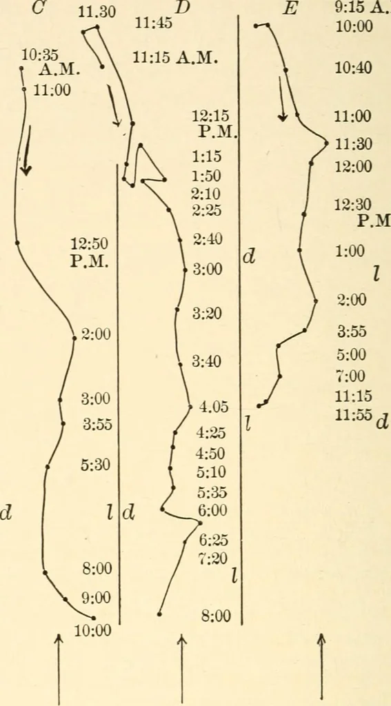 An illustration from Light and the behavior of organisms, 1911, leaf 83