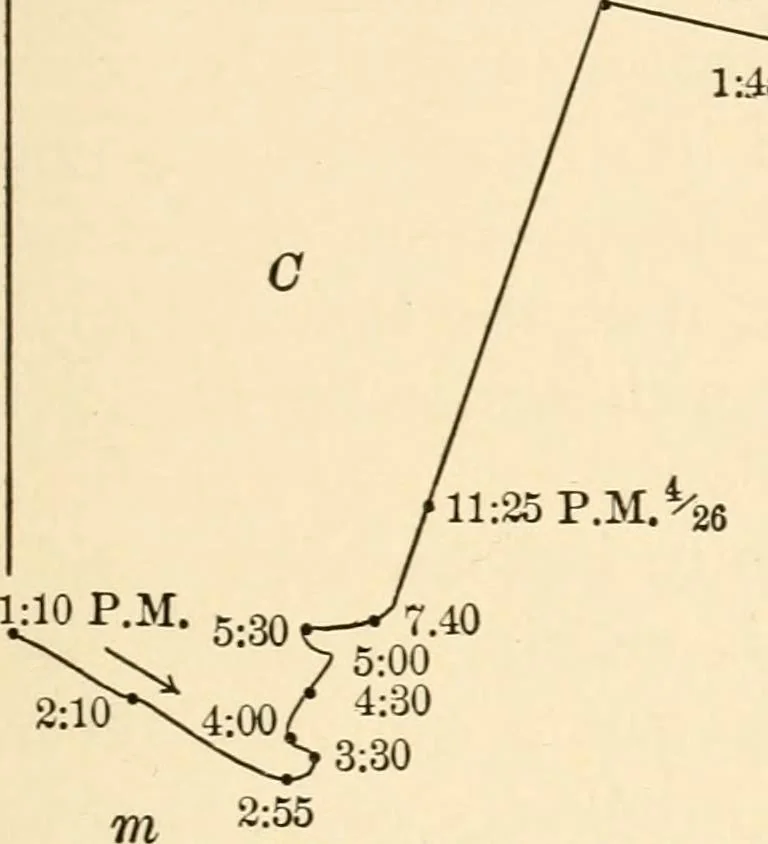 An illustration from Light and the behavior of organisms, 1911, leaf 86