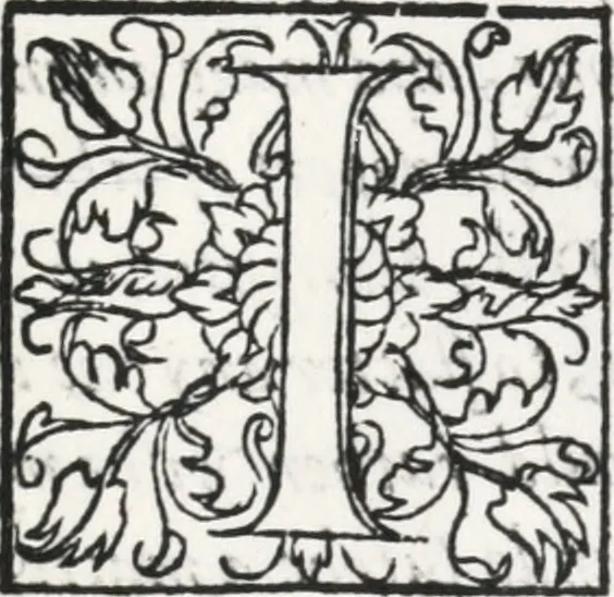 An illustration from A light bondell of liuly discourses called Churchyardes charge, presented as a Newe yeres gifte to the right honourable, the Earle of Surrie .., 1580, leaf 14