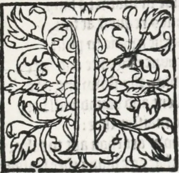 An illustration from A light bondell of liuly discourses called Churchyardes charge, presented as a Newe yeres gifte to the right honourable, the Earle of Surrie .., 1580, leaf 18
