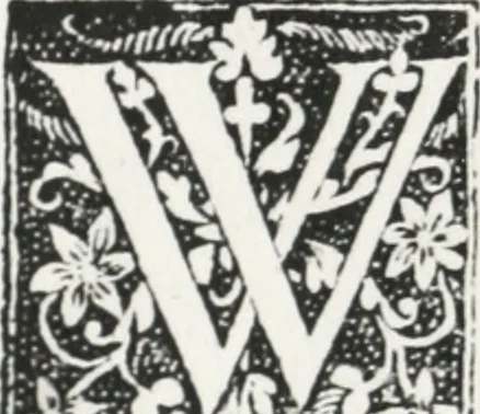 An illustration from A light bondell of liuly discourses called Churchyardes charge, presented as a Newe yeres gifte to the right honourable, the Earle of Surrie .., 1580, leaf 39