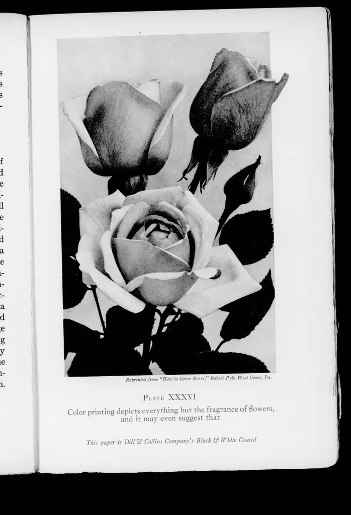 An illustration from Light and color in advertising and merchandising [microform], 1923, leaf 204