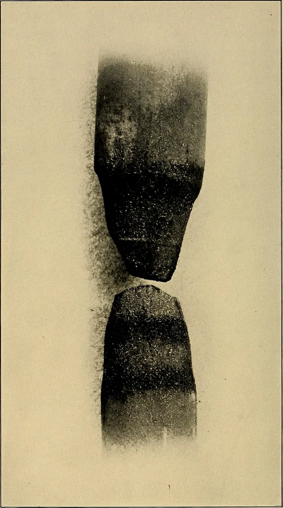 An illustration from Light energy, its physics, physiological action and therapeutic applications, 1904, leaf 111