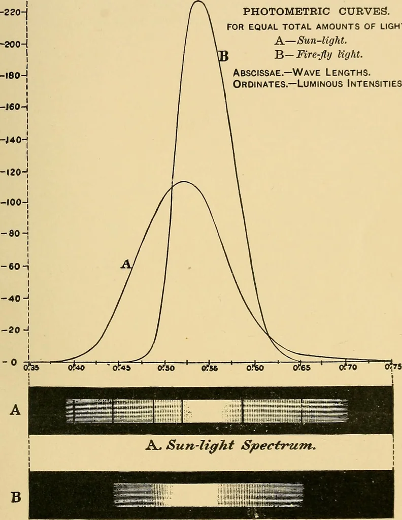 An illustration from Light energy, its physics, physiological action and therapeutic applications, 1904, leaf 154