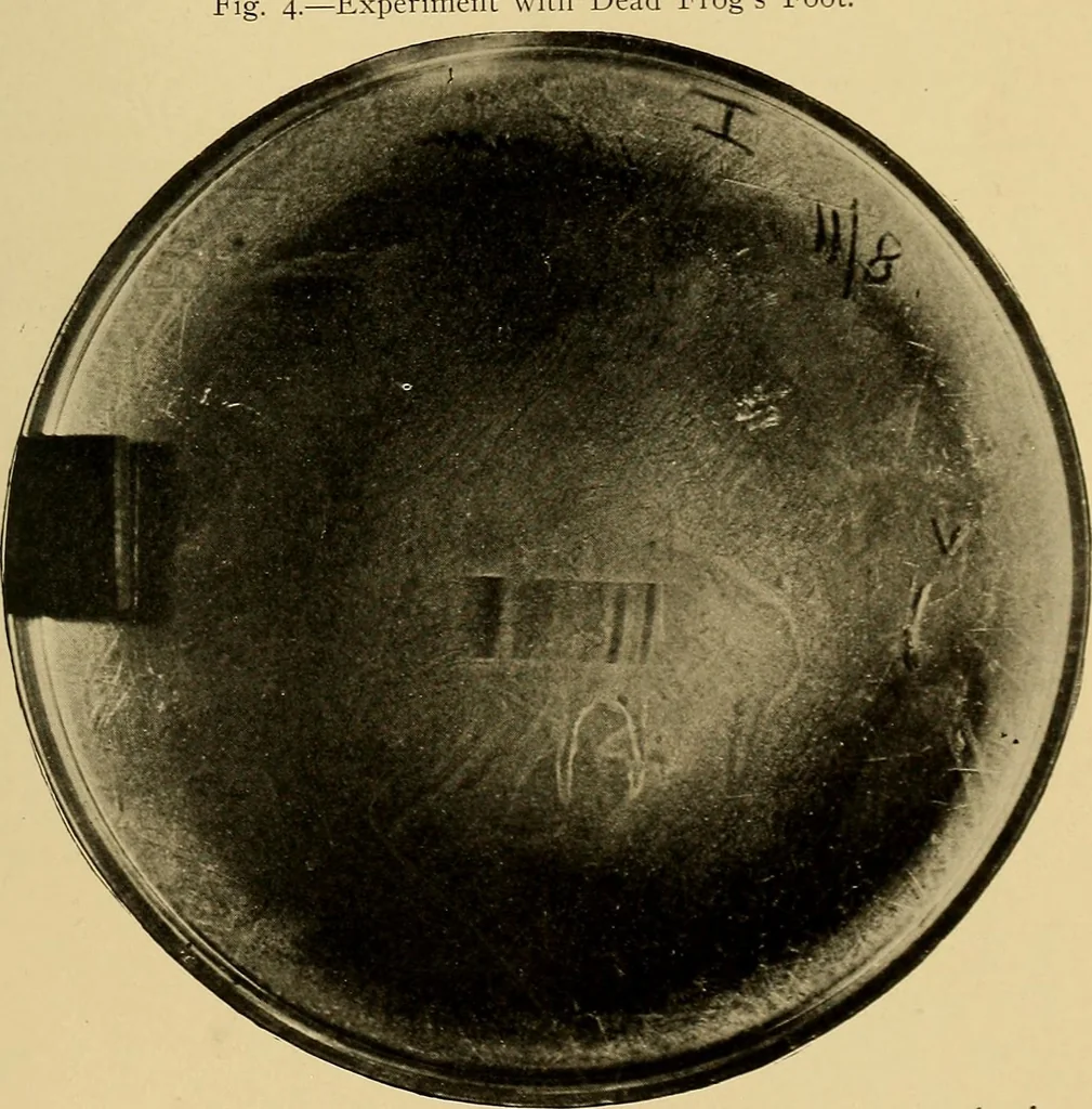 An illustration from Light energy, its physics, physiological action and therapeutic applications, 1904, leaf 210