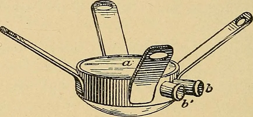 An illustration from Light energy, its physics, physiological action and therapeutic applications, 1904, leaf 511