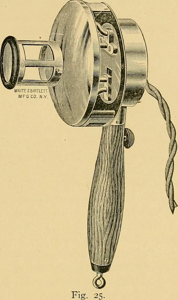 An illustration from Light energy, its physics, physiological action and therapeutic applications, 1904, leaf 532