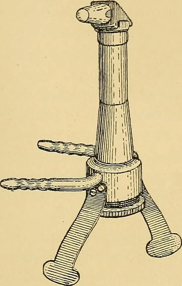 An illustration from Light energy, its physics, physiological action and therapeutic applications, 1904, leaf 542