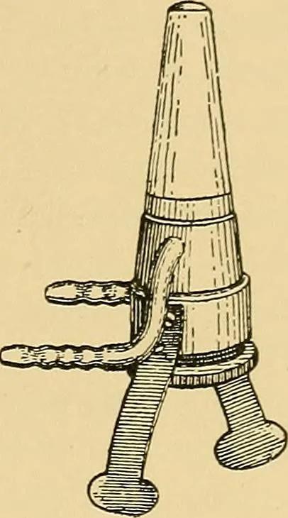 An illustration from Light energy, its physics, physiological action and therapeutic applications, 1904, leaf 542