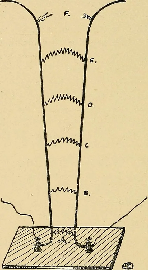 An illustration from Light energy, its physics, physiological action and therapeutic applications, 1904, leaf 713