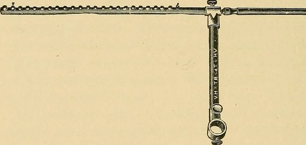 An illustration from Light energy, its physics, physiological action and therapeutic applications, 1904, leaf 719