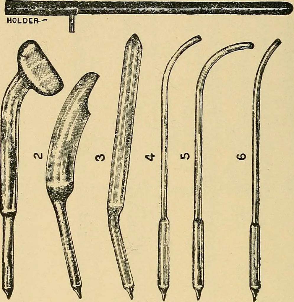 An illustration from Light energy, its physics, physiological action and therapeutic applications, 1904, leaf 721