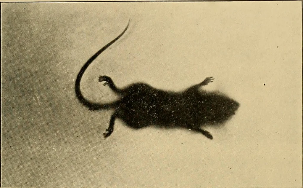 An illustration from Light energy, its physics, physiological action and therapeutic applications, 1904, leaf 770